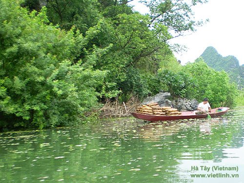 Water temperature of shrimp pond