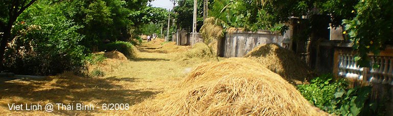 Thai Binh (Viet Nam)