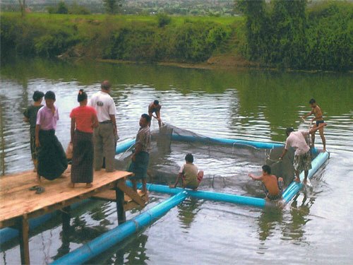 A Vietnamese Sturgeon Farm in Myanmar