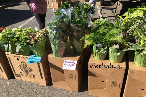The Santa Barbara Downtown Farmers’ Market (California, USA)
