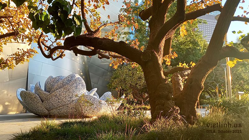 The Blue Ribbon Garden – A beautiful garden in the heart of downtown Los Angeles