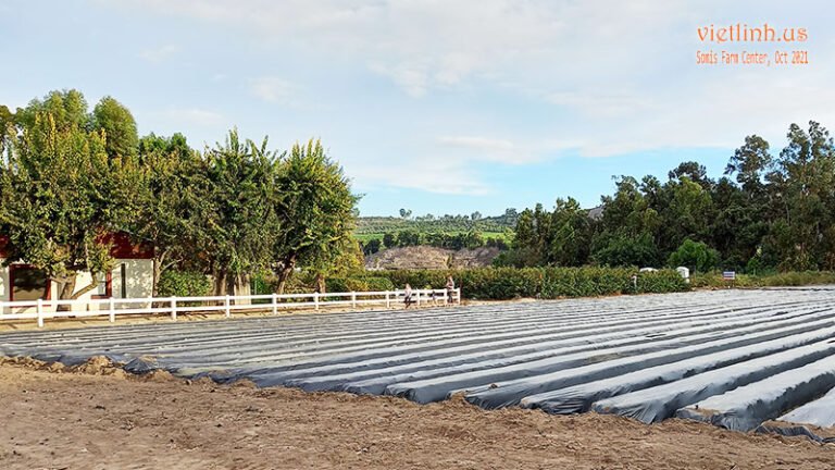 Underwood Family Farms in Somis (Ventura, California, USA) 