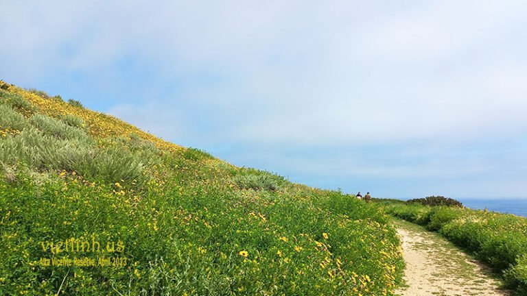Alta Vicente Reserve – The Beautiful Coastal Trails