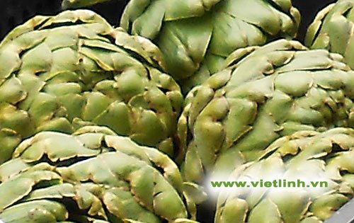 Artichoke – great source of fiber, vitamins