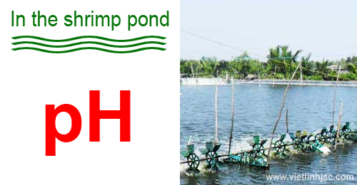pH of water in aquaculture