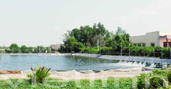 Management of Shrimp Ponds with Minimal Water Exchange