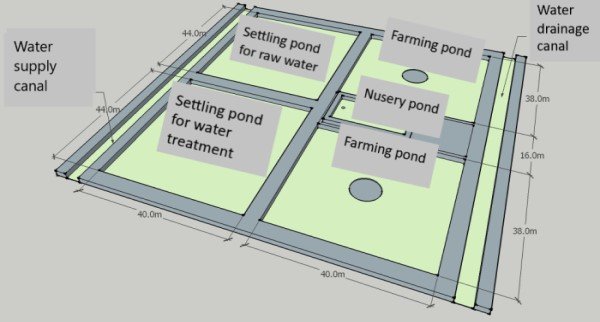 Super-intensive whiteleg shrimp farming in 2 stages 