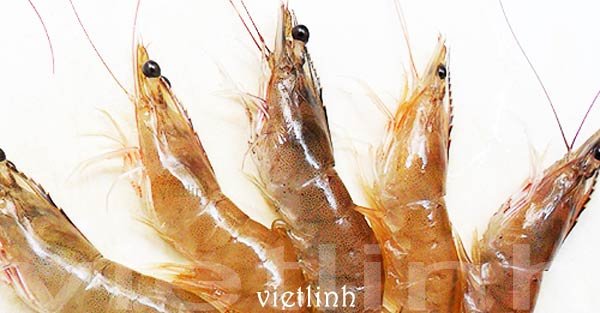 Vitamin C deficiency